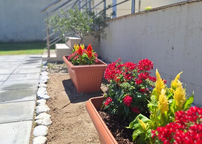 Sea Breeze House בית נופש